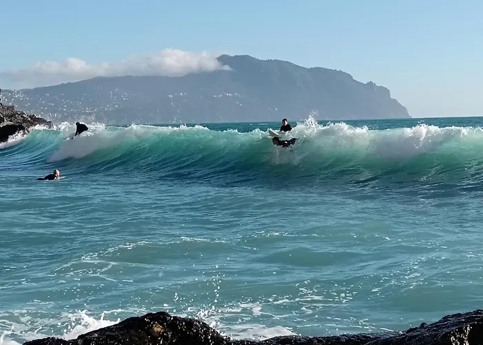 Lejlighed Casa - Centro