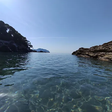 Apartament Casa - Centro *